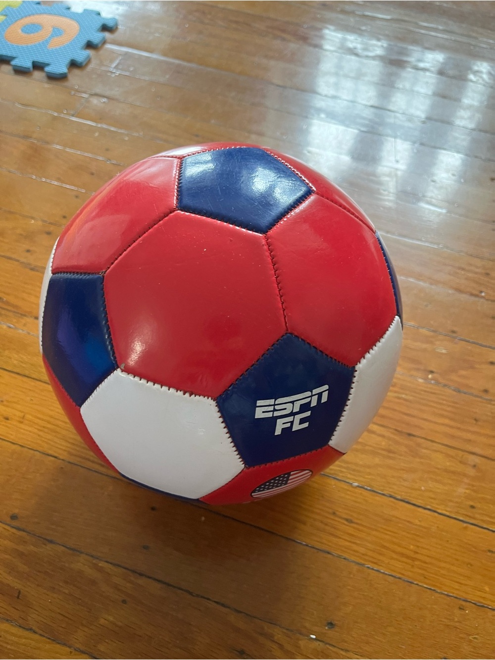 Red & Blue ESPN USA Soccer Ball